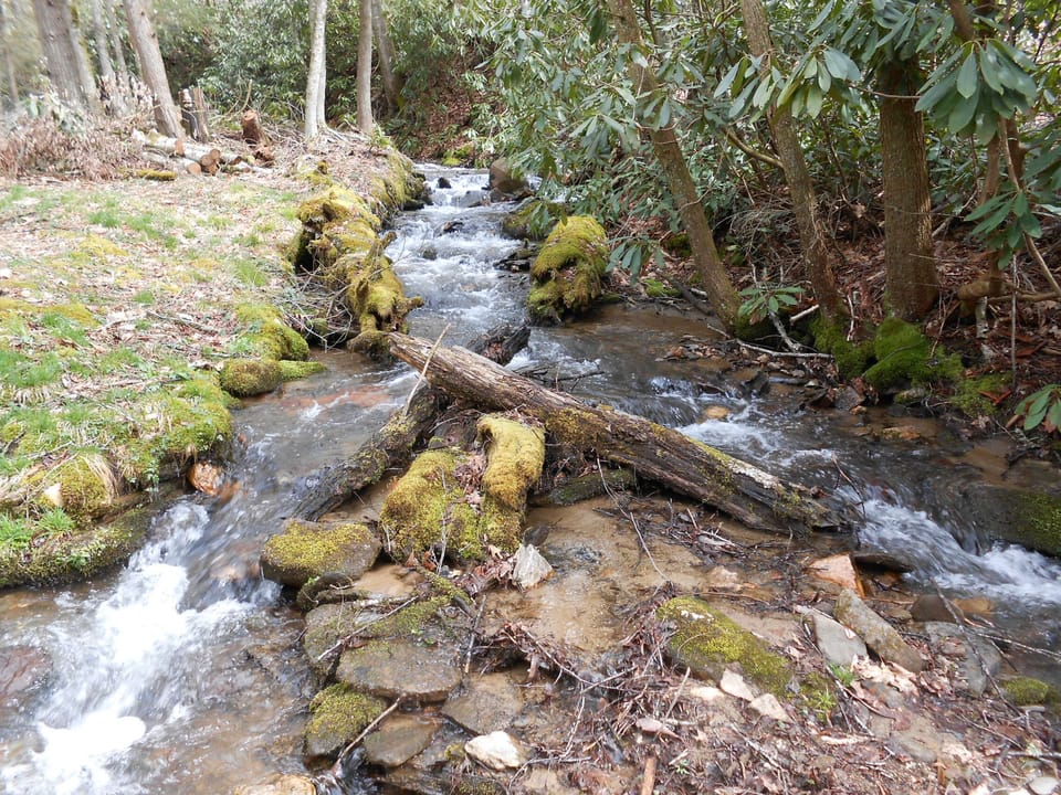 There are several small waterfalls through out the creek 
