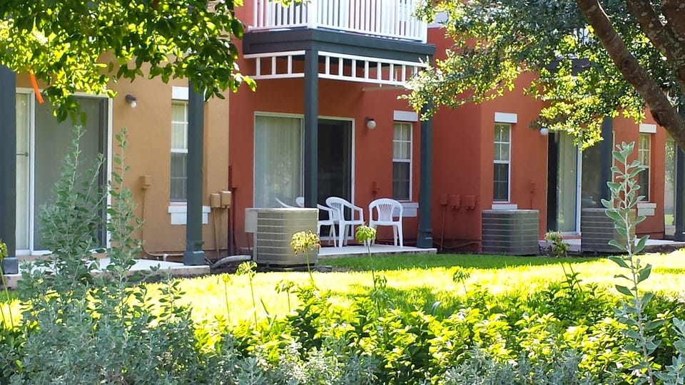 View of back porch from pool