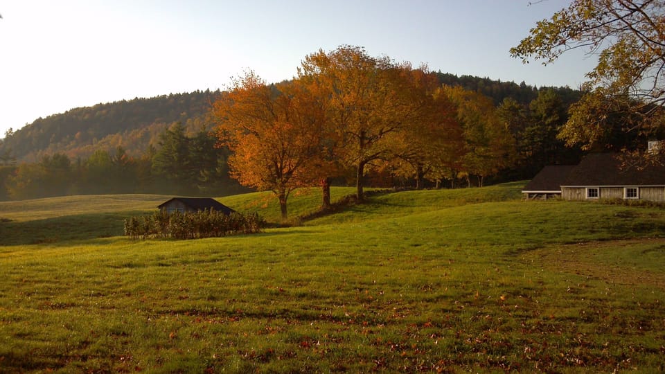 Fall splendor from kitchen window