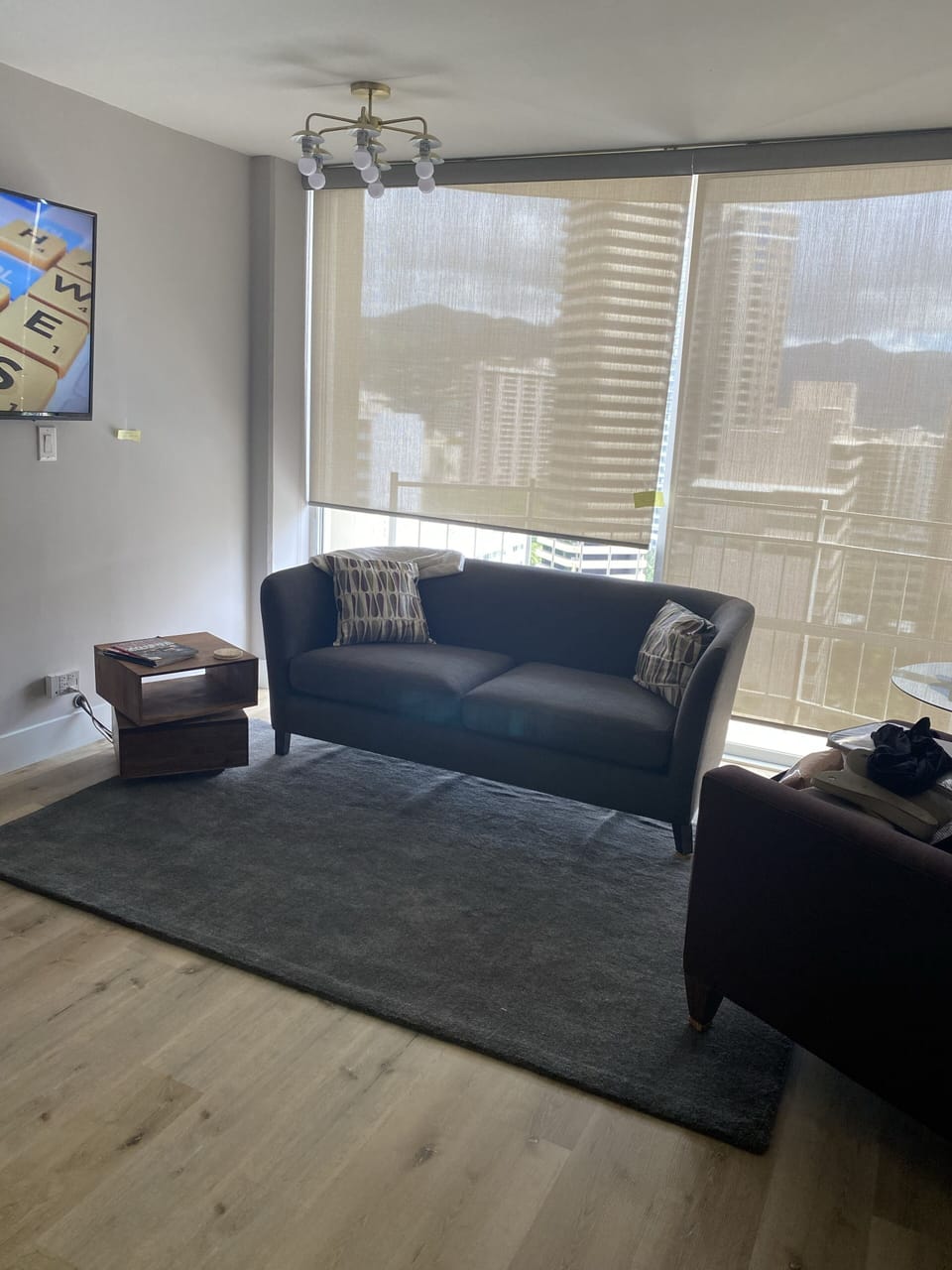 Comfortable living area with Crate and Barrel furniture and lighting