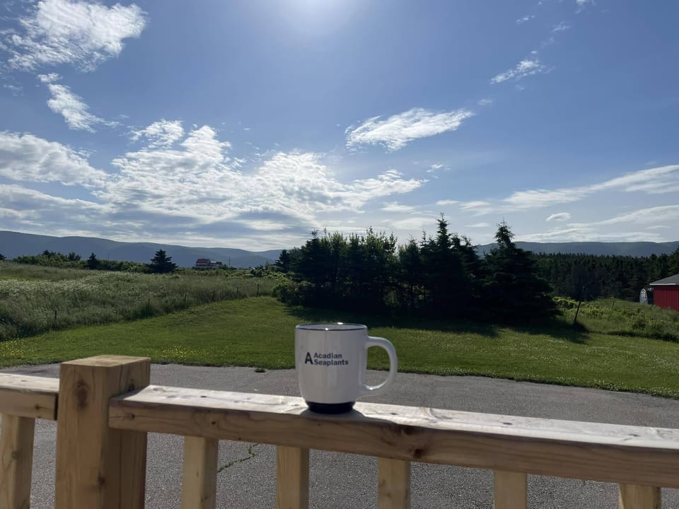 View from back deck. Watch sunrise over the mountains. 