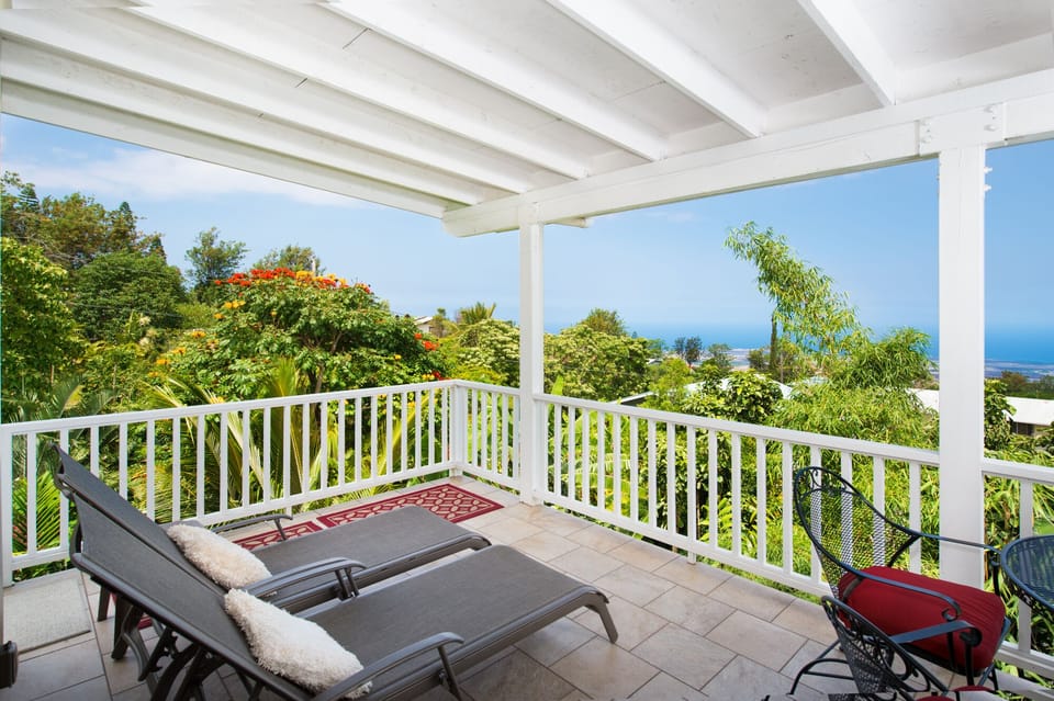 Relax and read a book while watching the birds in the garden.