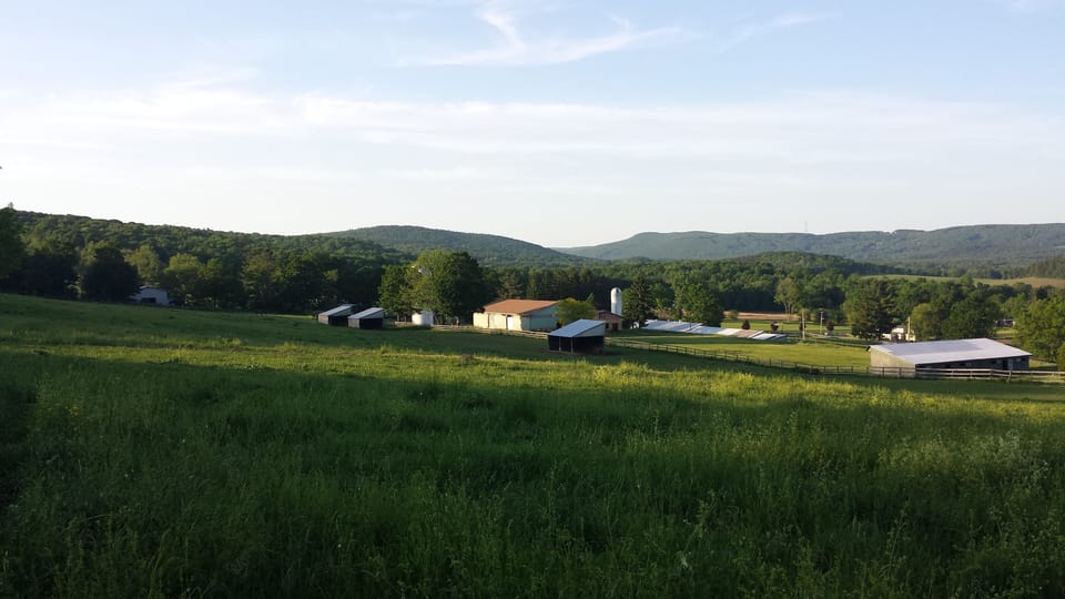 View over the farm