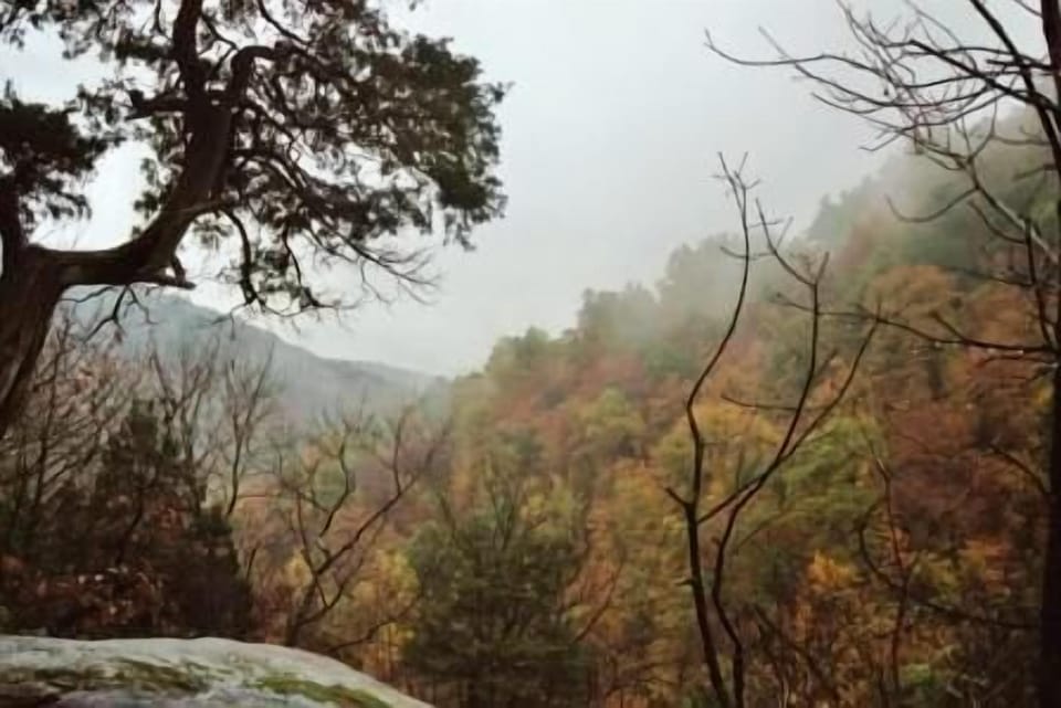 Hiking in the midst on White Oak Canyon Trail