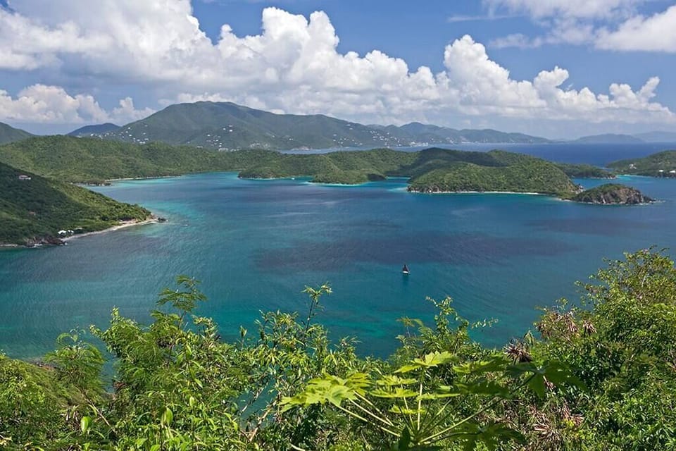 Your view of Virgin Islands Coral Reef National Monument -- pristine beauty. 