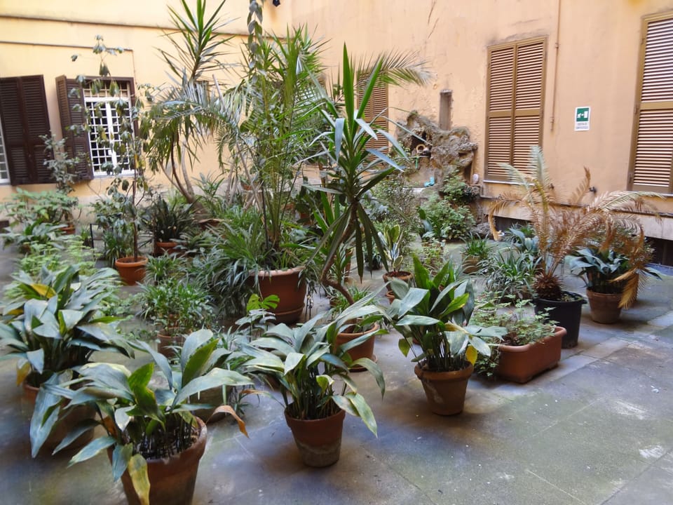 Inner courtyard