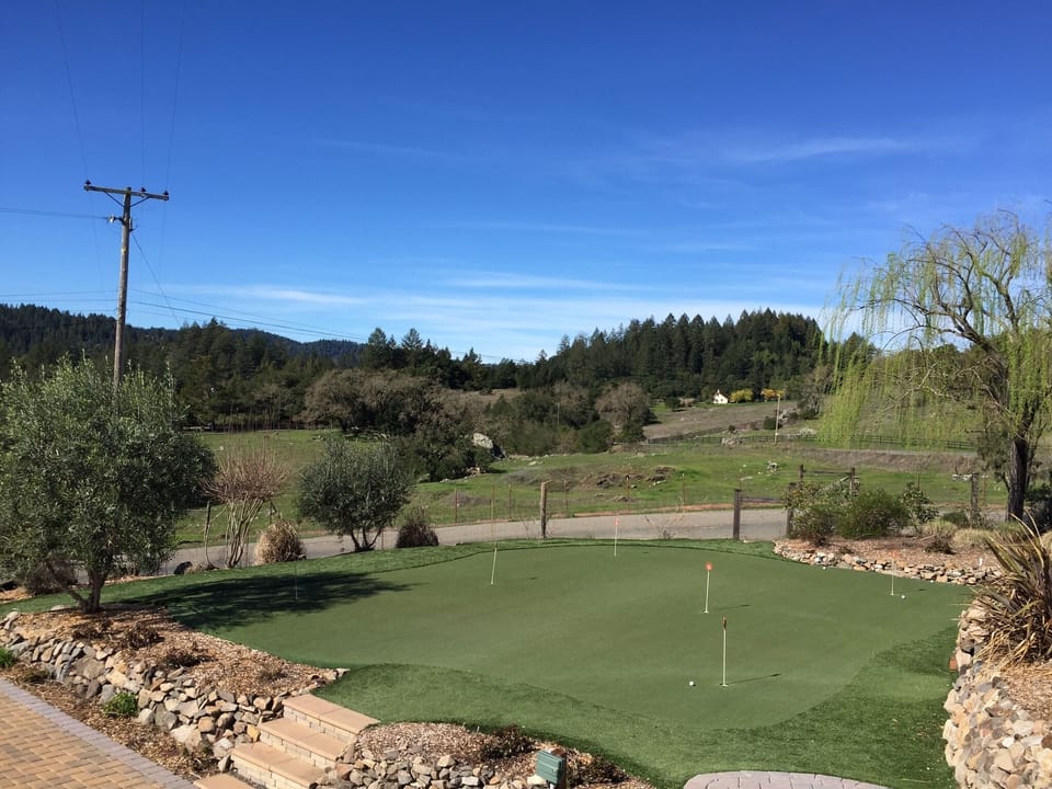 A putting green can help anyone's short game.