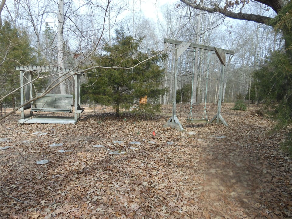 Bench type & single swing on shady bluff  outside back door.  Watch 4 deer here.