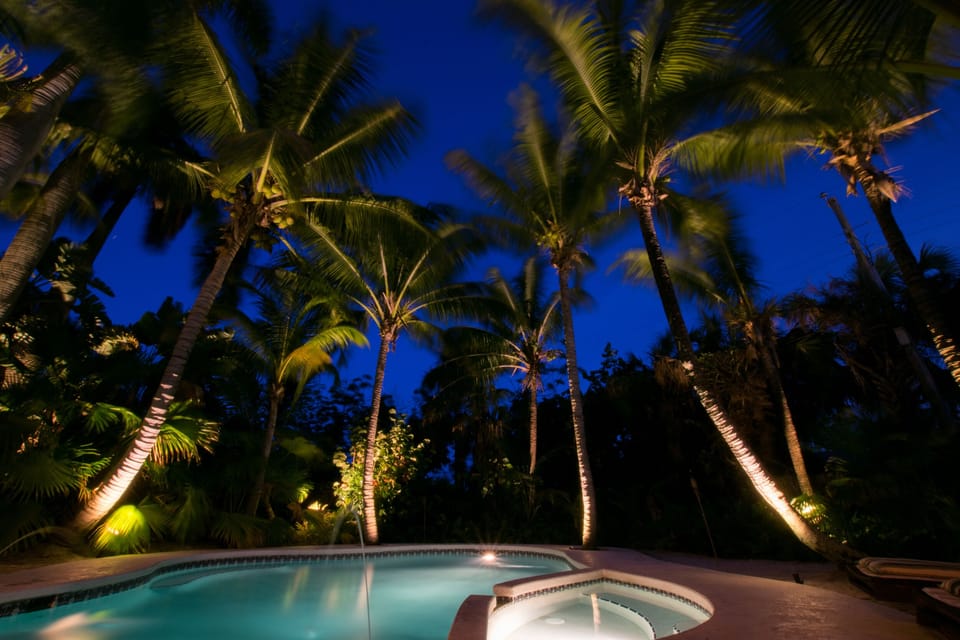 All the palms lit up at night for an amazing view during your night time swim. 