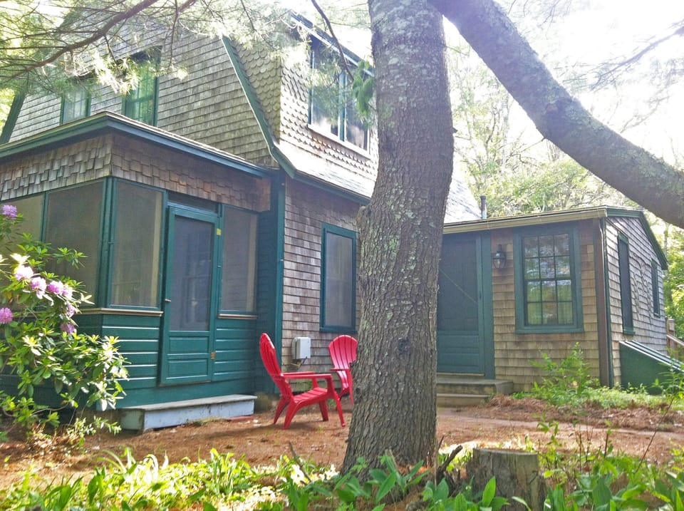 Summer guests have been visiting for over 100 years.