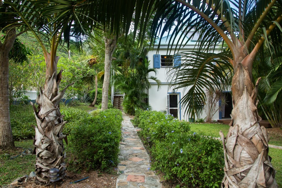 Natural stone path leading to the house is guarded by arching palms