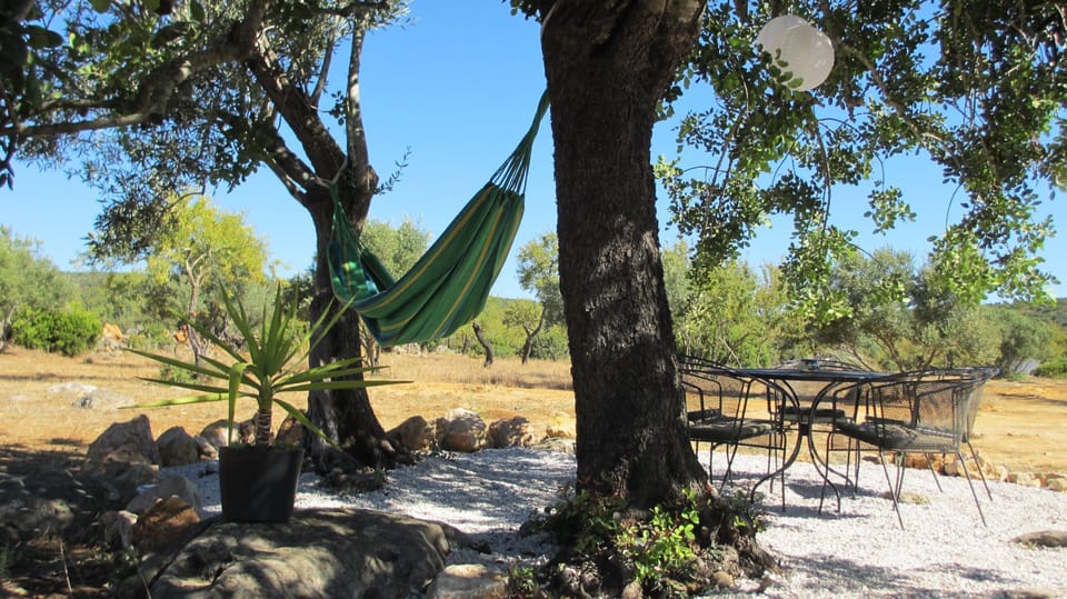 Terrace with hammock
