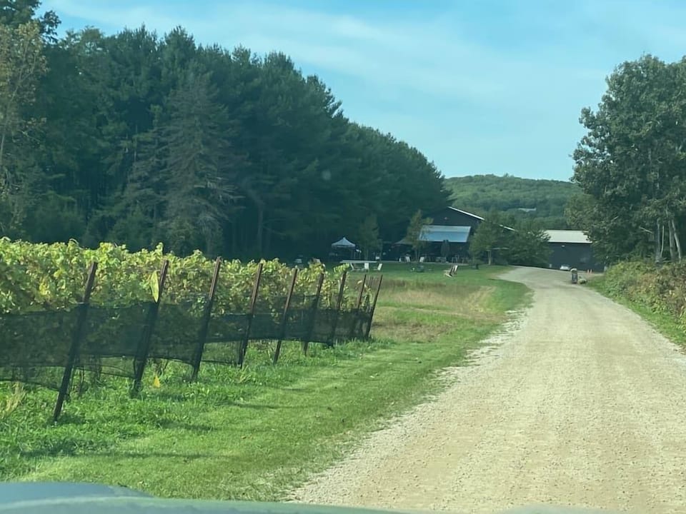 Winery just up the road and many other great activities year round to enjoy!