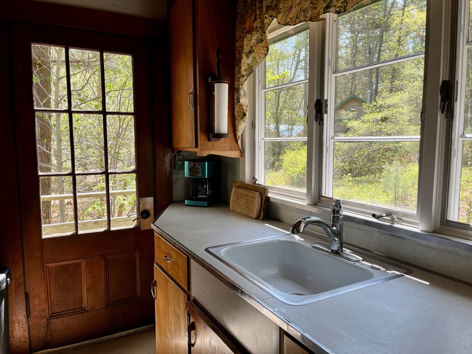Sunny kitchen looks into woods