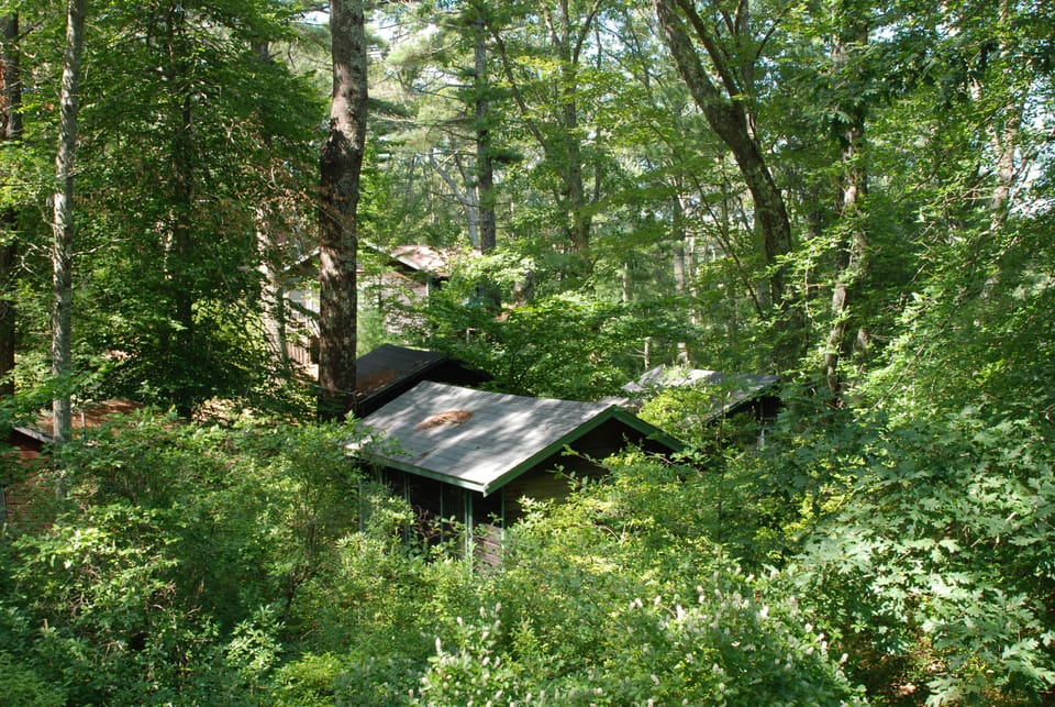 View to the neighboring one bedroom cabins which can be added to the rental.