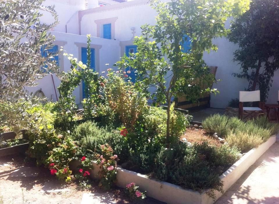 Serafi home. The garden.