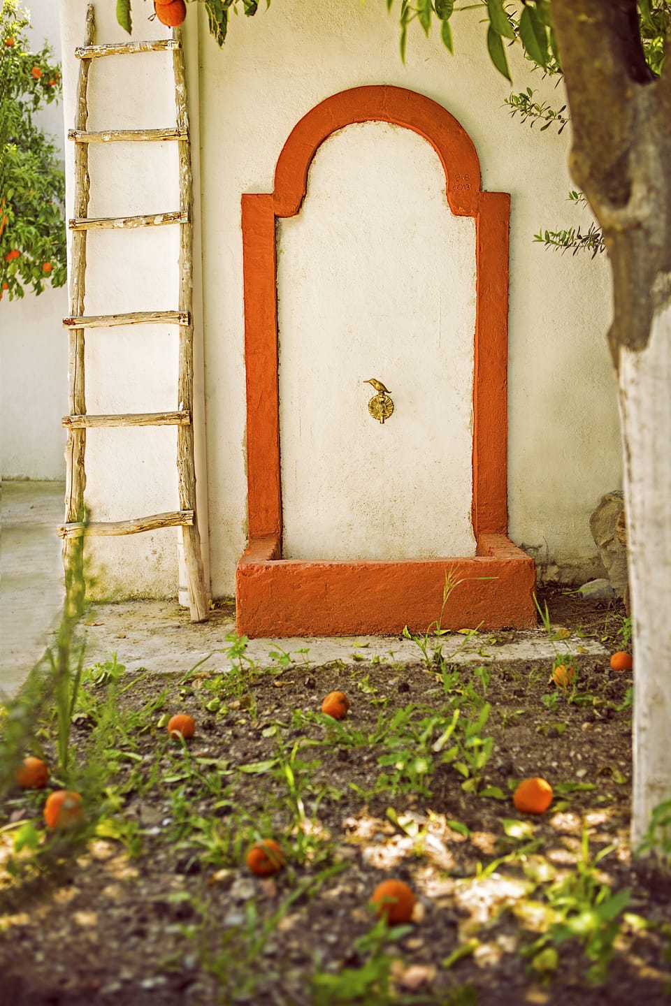 Serafi's garden.