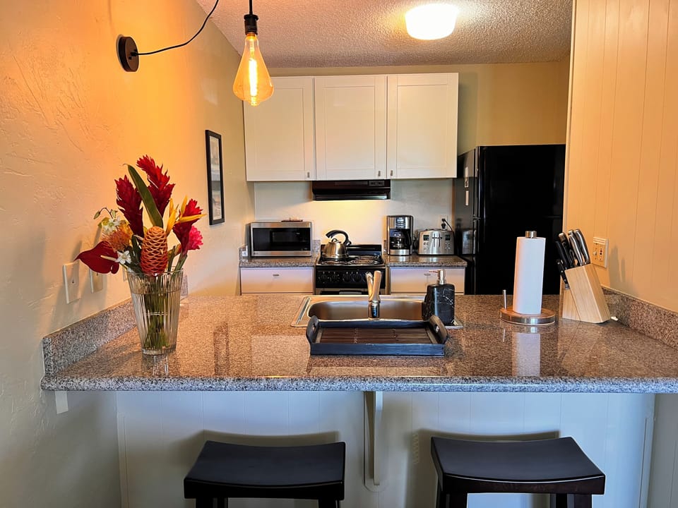 Kitchen with granite counter tops