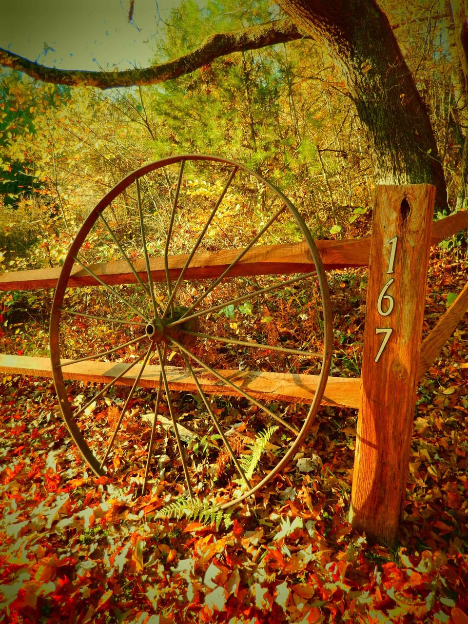 Find our old wagon wheel and you are on your way to enjoying your stay!