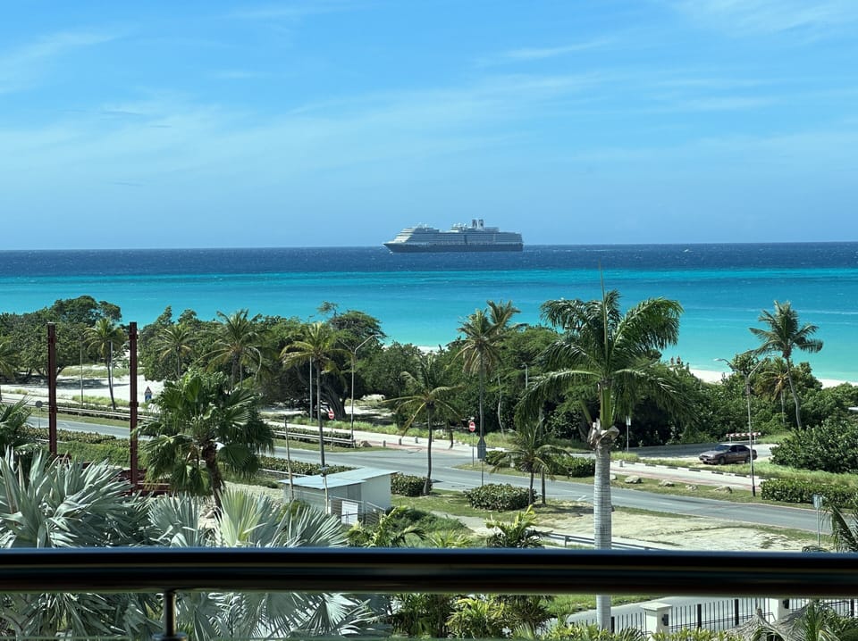 Watching Cruise ships rolling in the harbor!