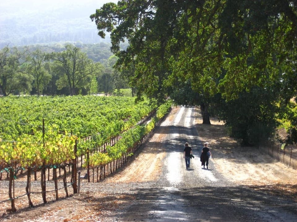 Sonoma is `real wine country`. Slow down and enjoy.