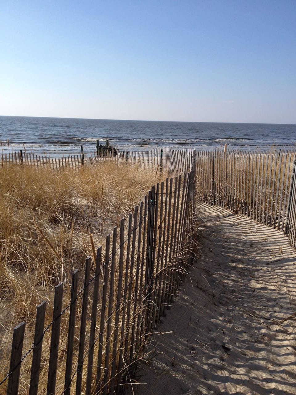 Feel the breeze and fresh air while walking thru this path to the Delaware Bay.