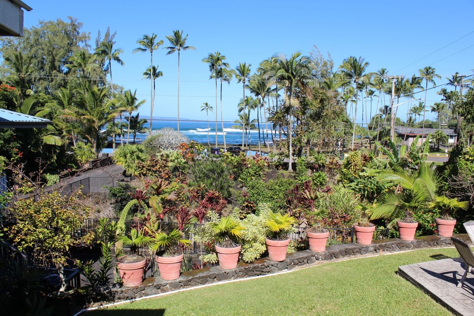 View from the front door looking at Richardson's Beach Park.