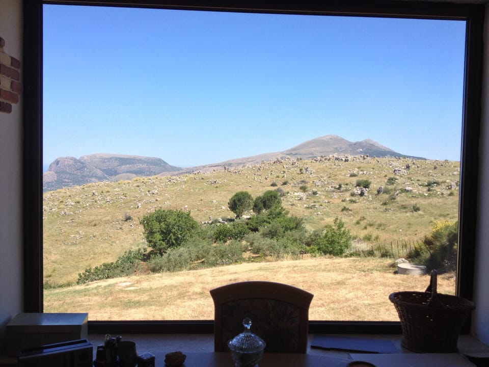 View from the living space on the hills