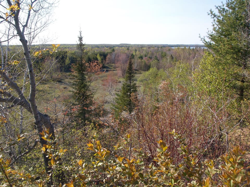 Do not miss Mt Baldy in Whitefish Dunes State park with views of 2 lakes! 