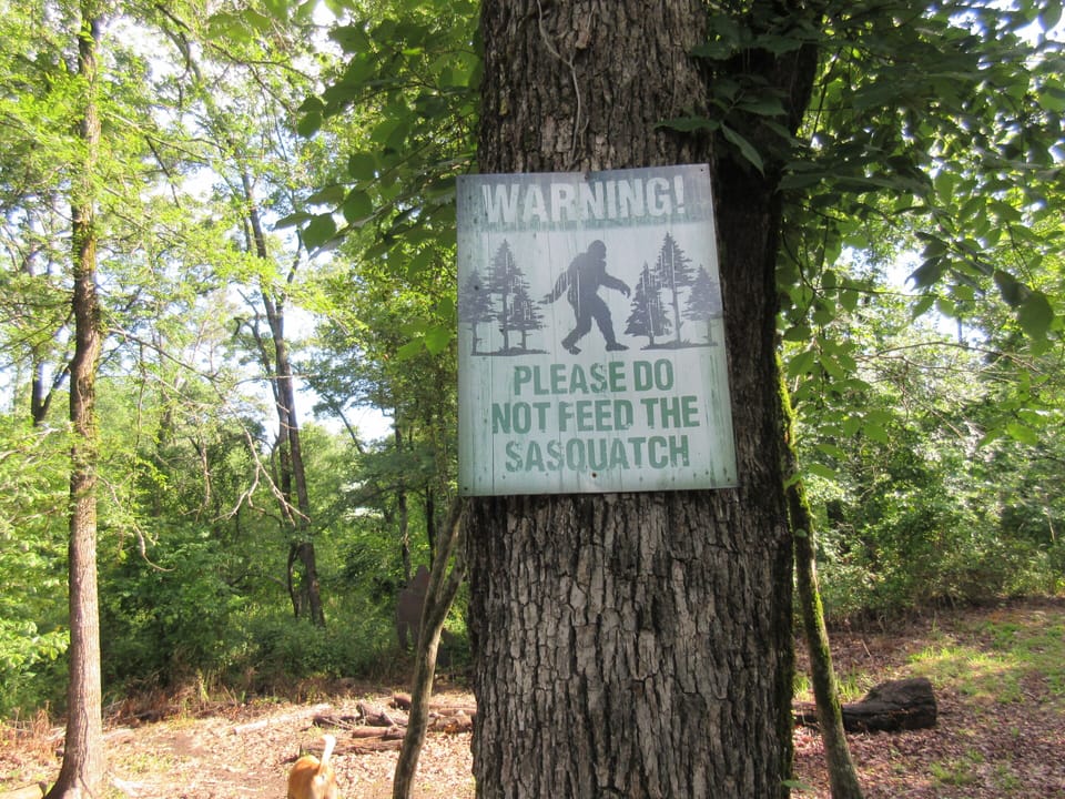 Beware of Sasquatch!!
