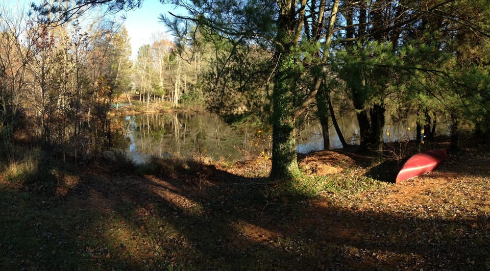 Another view of the pond.