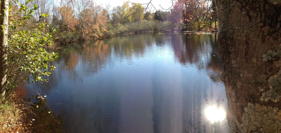 The Pond.