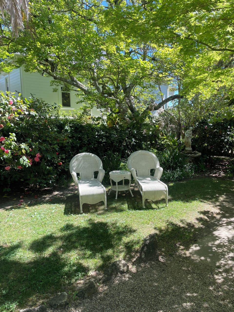Backyard chaise loungers.