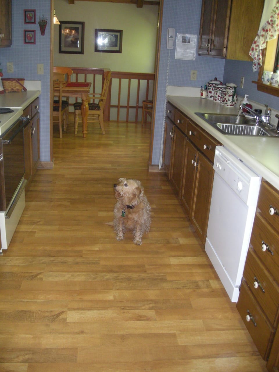 Galley kitchen with everything you need