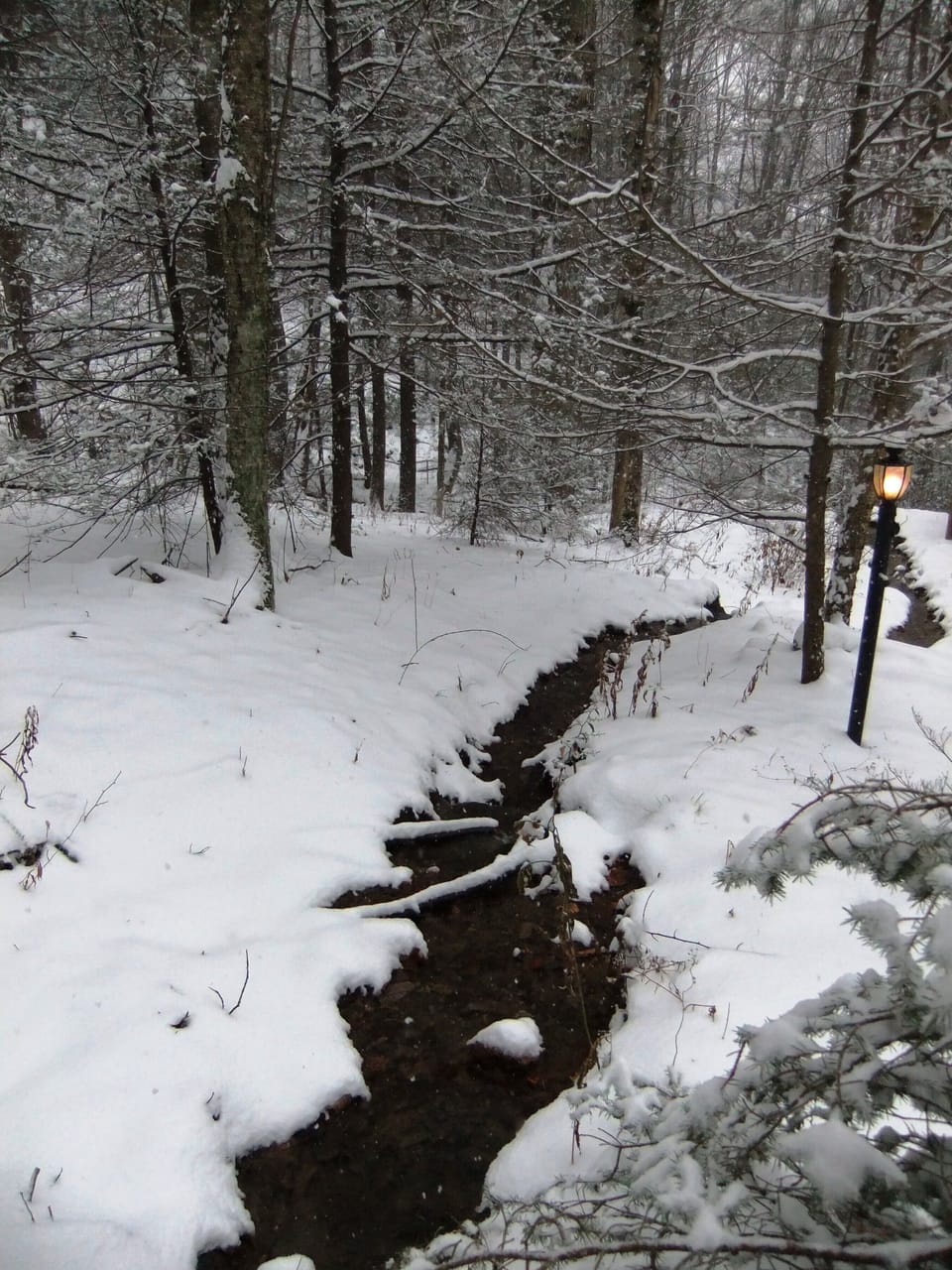 Small creek that feeds into the large creek on the property