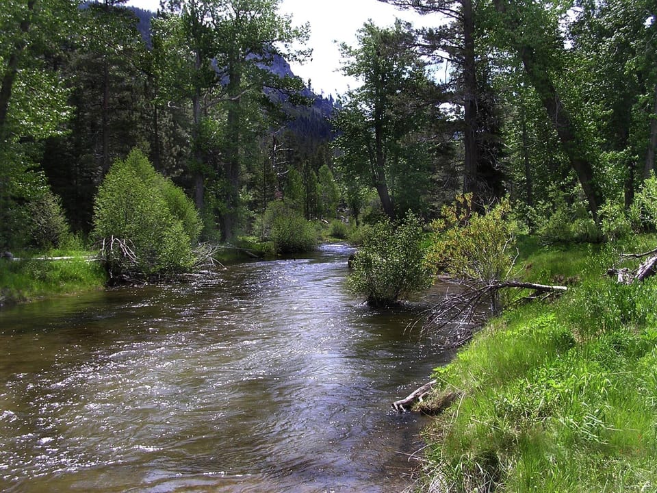 Near  the river