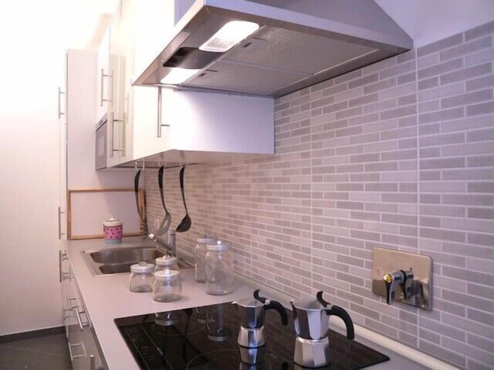 Fully equipped kitchen: induction, micrivawe, dishwasher, freezer, refrigirator.