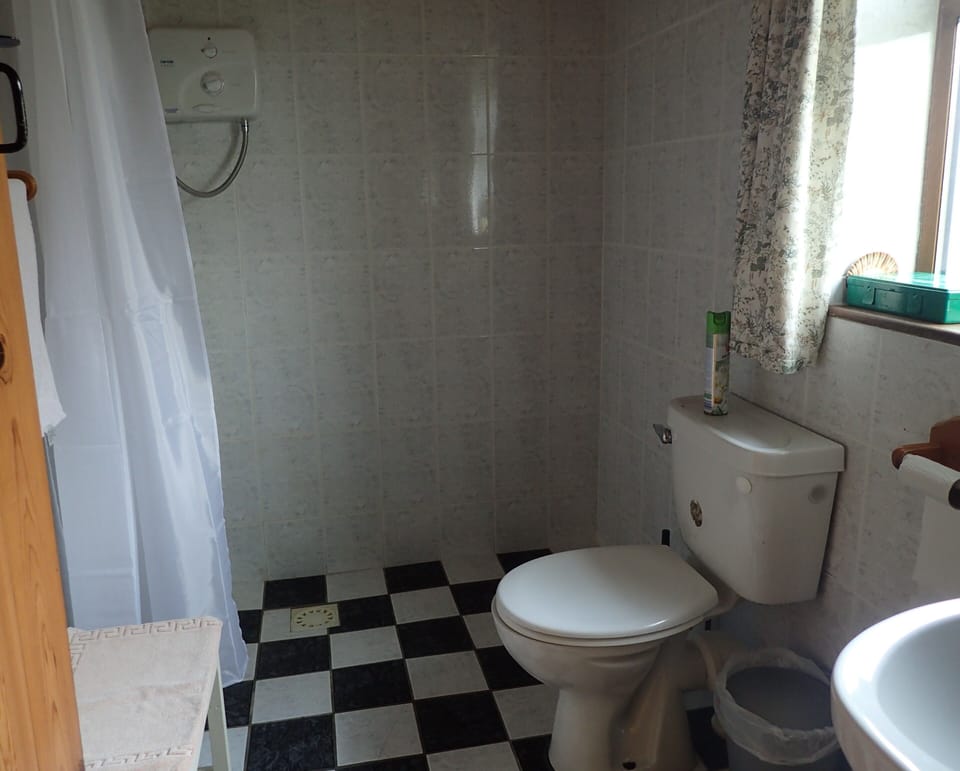 Downstirs wet room with shower