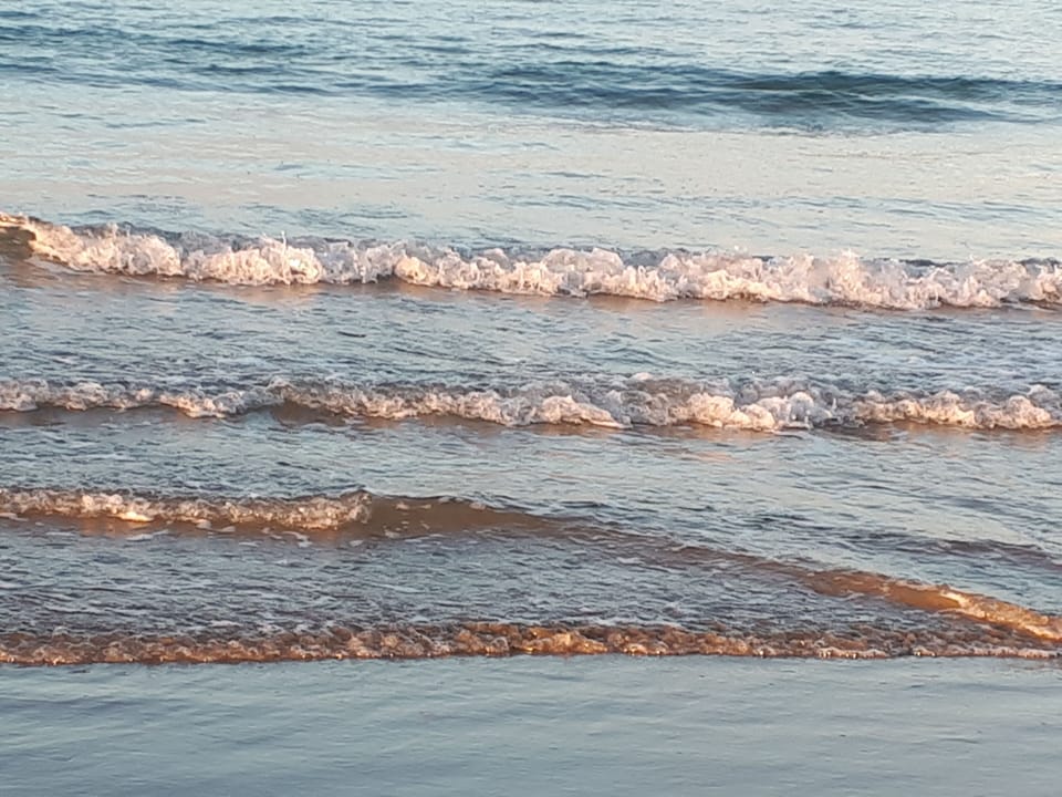 Plage Palus