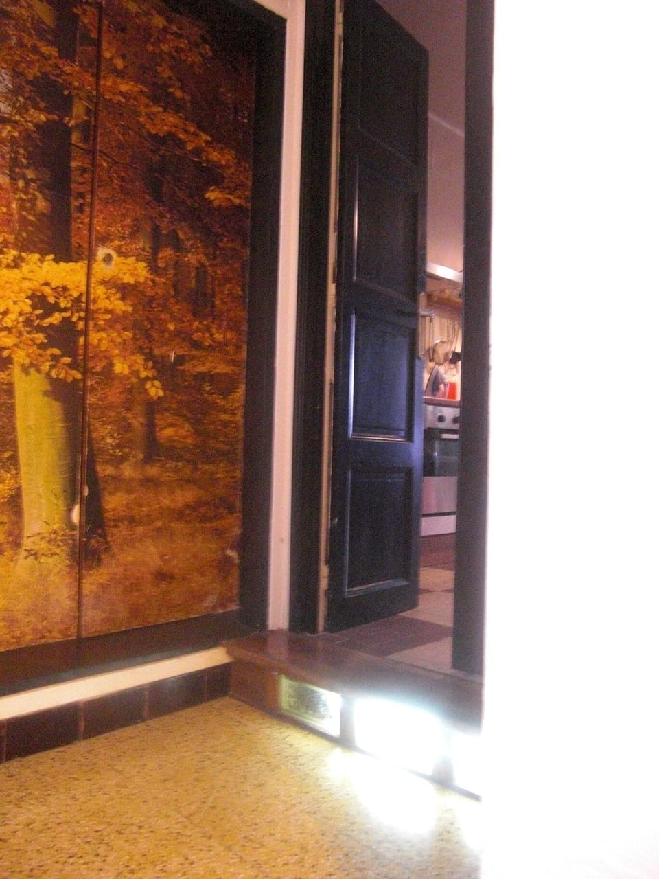 kitchen doorway. Internal step from corridor into kitchen.