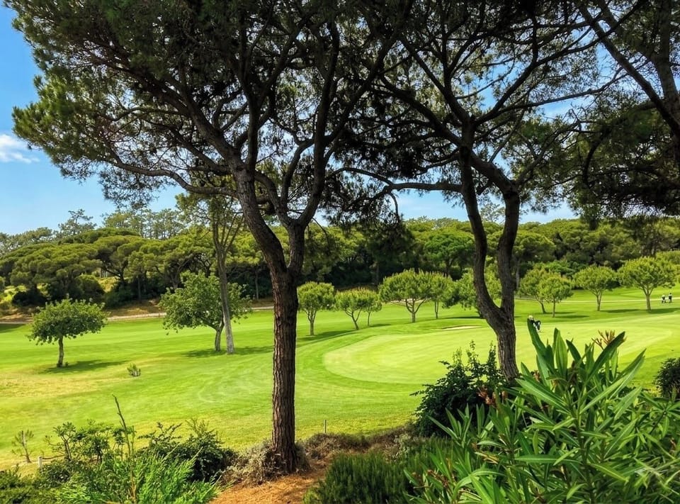 Golf course across the street 