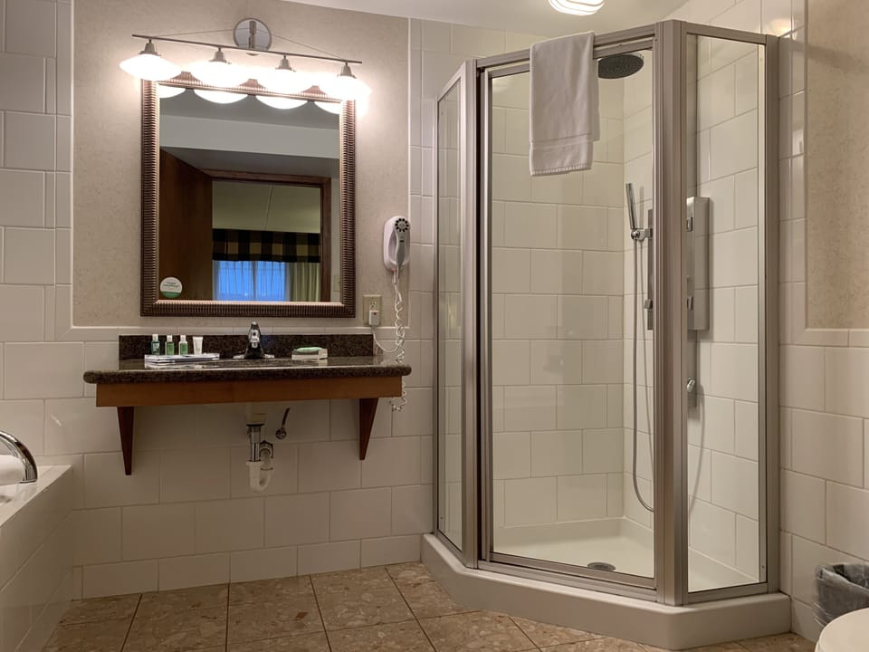 Combined shower/tub, free toiletries, hair dryer, towels