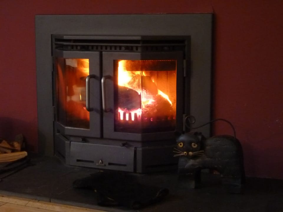 Wood burning stove