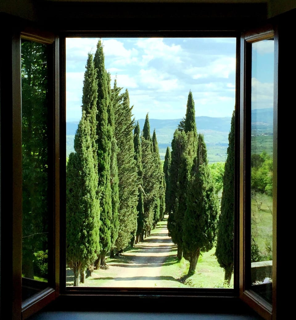 view from the bedrooms 