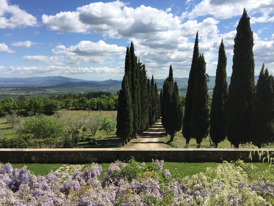 panoramic view of the driveway 