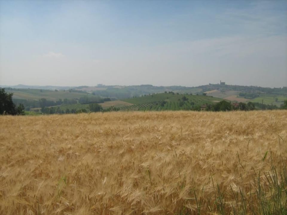Grazzano Badoglio: Apartment/ flat - Grazzano Badoglio Apartment in Piedmont