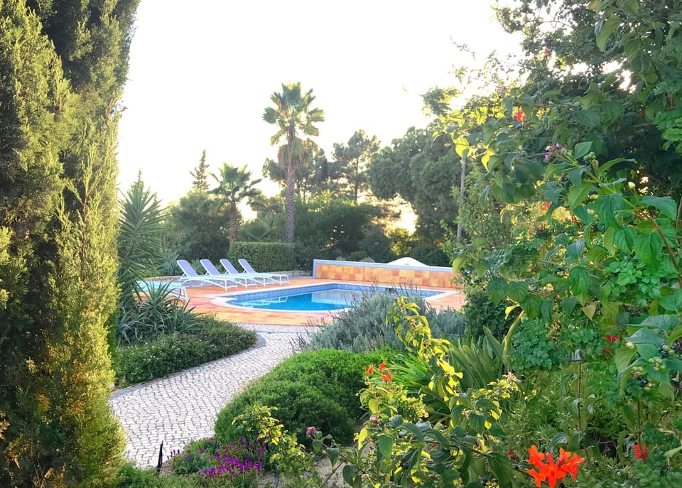 view on the garden and swimming pool taken from the private driveway