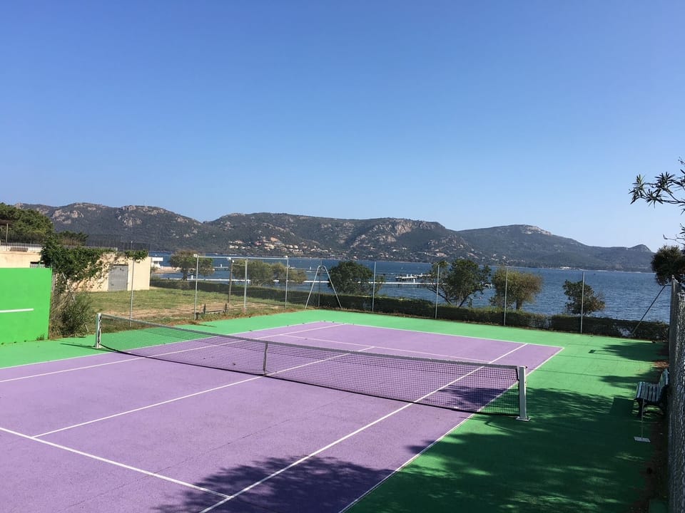 Sport court