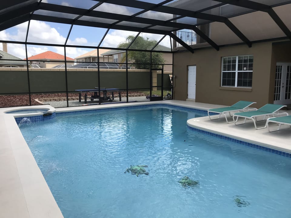 Pool Remoddelled and oversized with Turtles on Bottom and New Bronze Pool Screen