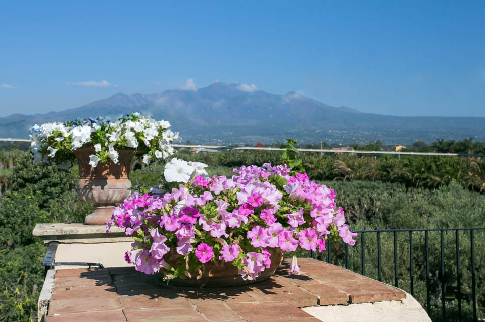 The terrace offers a tremendous view of Etna Volcano on your right 
